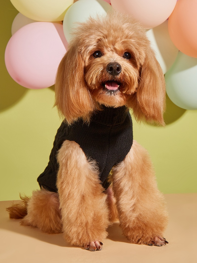 Dog Sweater Chihuahua Clothes Dog Sweaters for Small Dogs Girl Boy Teacup Dog Yorkie Turtleneck Knitted Sweater Pet Clothes Fall Dog Clothes