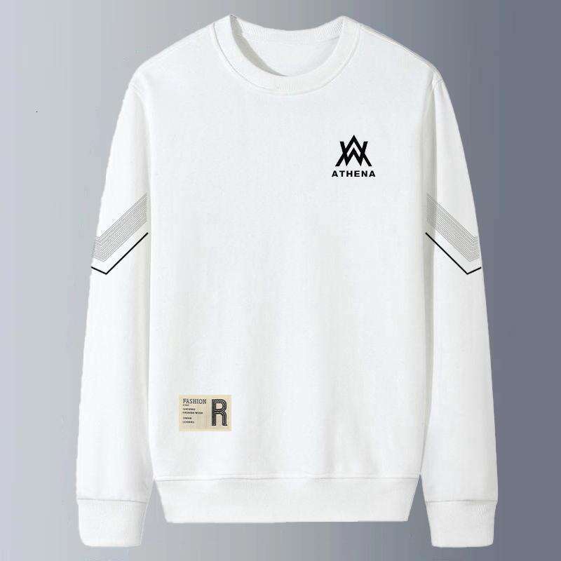 Sweatshirt Spring And 2024 Youth Long Sleeved Men's Jacket New Round Neck Loose Autumn Hooded Top