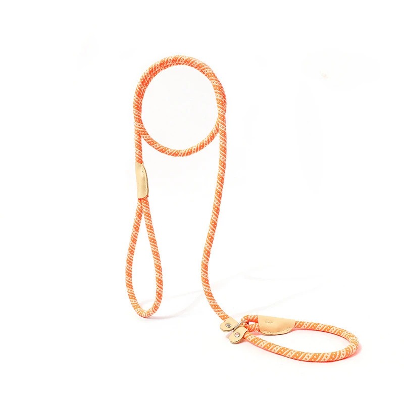 Pet Adjustable Collar Leash Nylon Lead Leash Durable Rope Belt Lightweight Accessories Cat Collar
