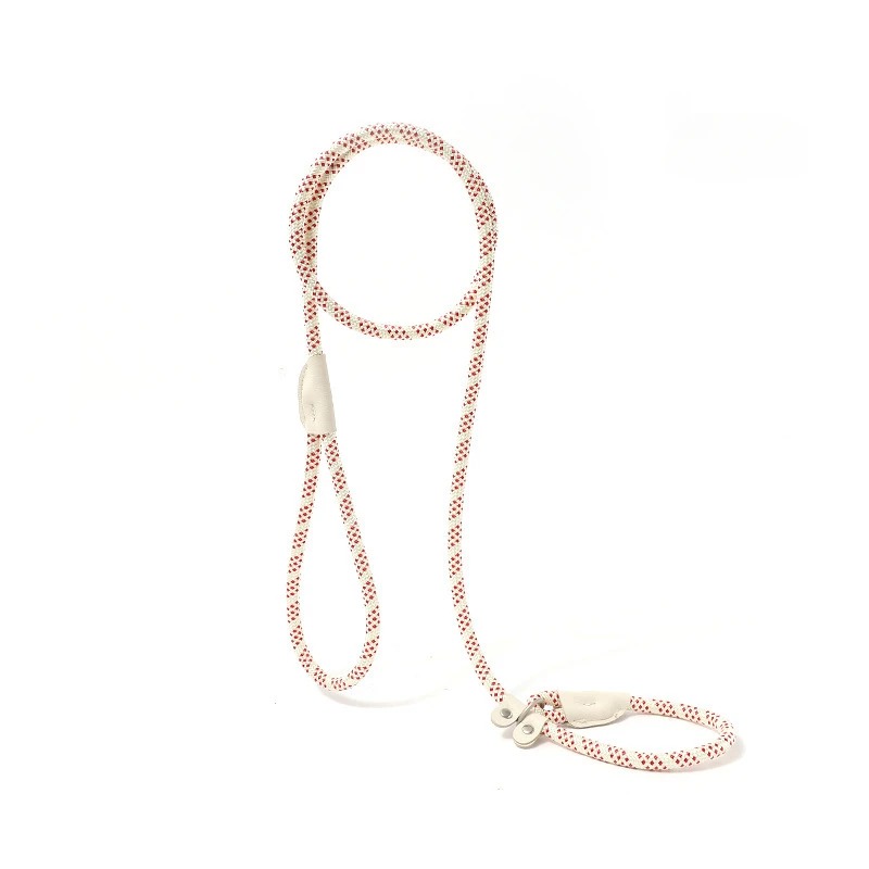 Pet Adjustable Collar Leash Nylon Lead Leash Durable Rope Belt Lightweight Accessories Cat Collar