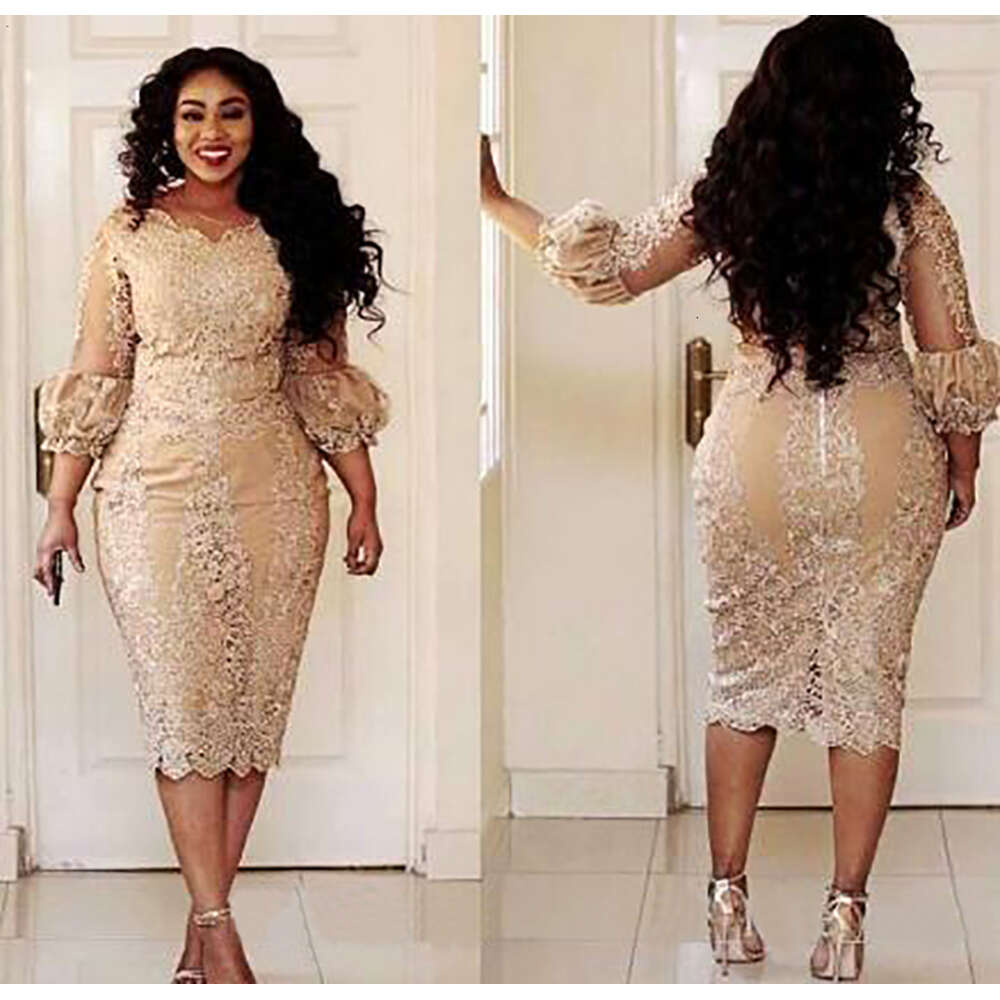 Lace Champagne Short The Bride Dresses Plus Size Tea Length Long Sleeve Sheath Mother Of Groom Gowns M