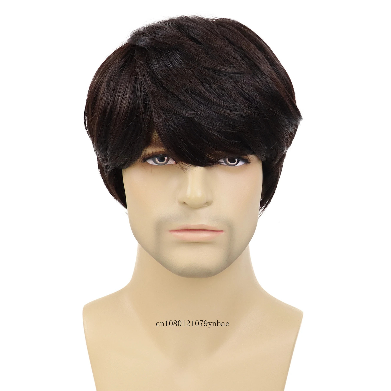 Fashion Brown Wig Synthetic Hair Short Straight Wigs with Bangs for Men Guy Heat Resistant Daily Party Costume Cosplay Halloween 241115