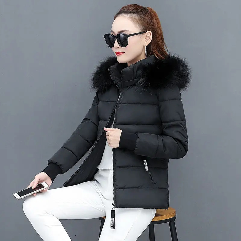 Winter Parka Jacket Fur Collar Hooded Basic Coat Female Warm Zipper Short Cotton Padded Outerwear 241108
