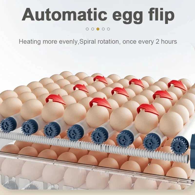 12/15/24 Eggs Small Household Automatic Intelligent Incubator Poultry Waterbed Incubators And Temperature Controler H241115
