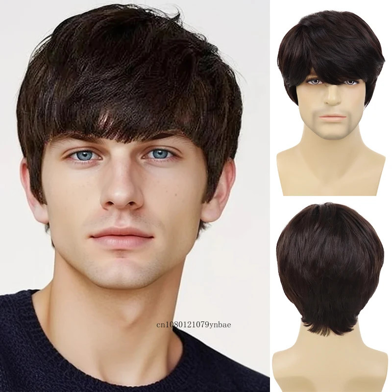 Fashion Brown Wig Synthetic Hair Short Straight Wigs with Bangs for Men Guy Heat Resistant Daily Party Costume Cosplay Halloween 241115