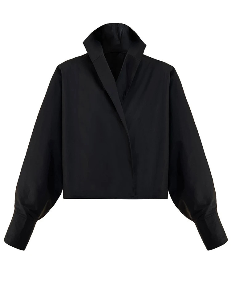 EAM Womens White Short Size Large Elegant Shirt V-neck Long Sleeve Fashion Trend Spring and Autumn 1DH4759 241115