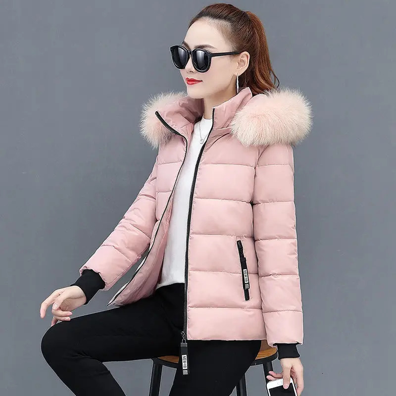 Winter Parka Jacket Fur Collar Hooded Basic Coat Female Warm Zipper Short Cotton Padded Outerwear 241108