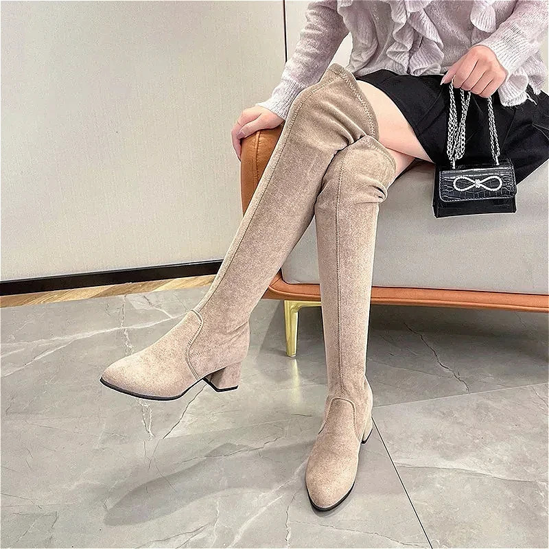 Over The Knee High Boots Womens Pointed Toe High Heels Chelsea Snow Boots 2024 Trend Winter Suede Sexy Chunky Pumps Zapatos Mujer 241115