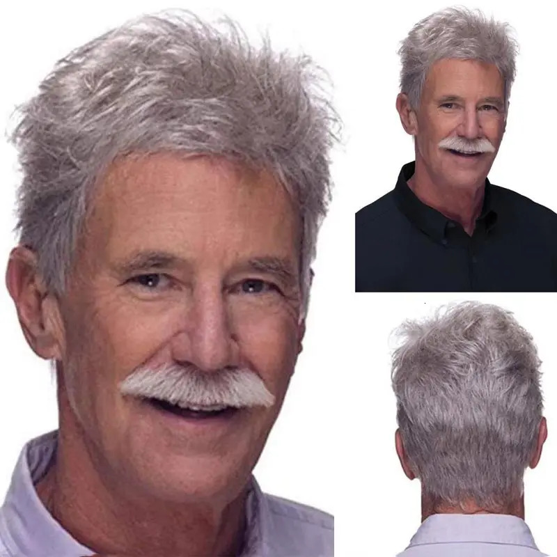 Grandpa Hair Handsome Mens Fashion Short Wig Husband Gift Short Grey Wigs Heat Resistant Synthetic Wigs for Daddy 241115