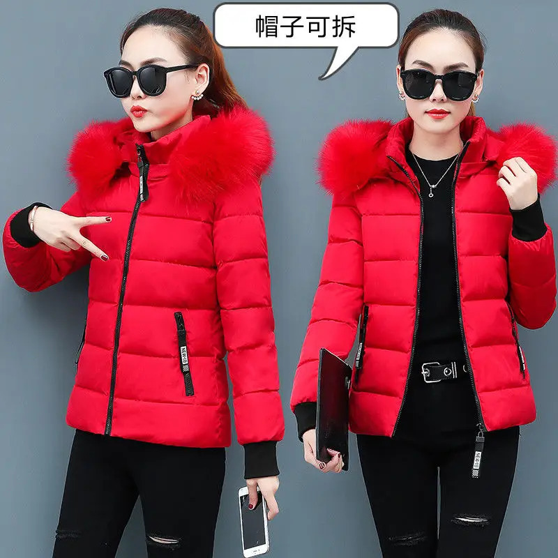 Winter Parka Jacket Fur Collar Hooded Basic Coat Female Warm Zipper Short Cotton Padded Outerwear 241108