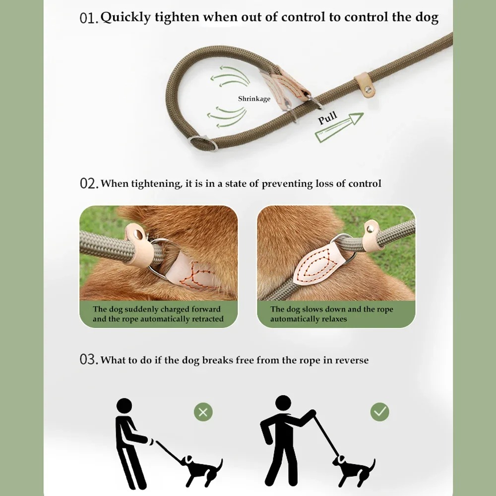 Pet Adjustable Collar Leash Nylon Lead Leash Durable Rope Belt Lightweight Accessories Cat Collar