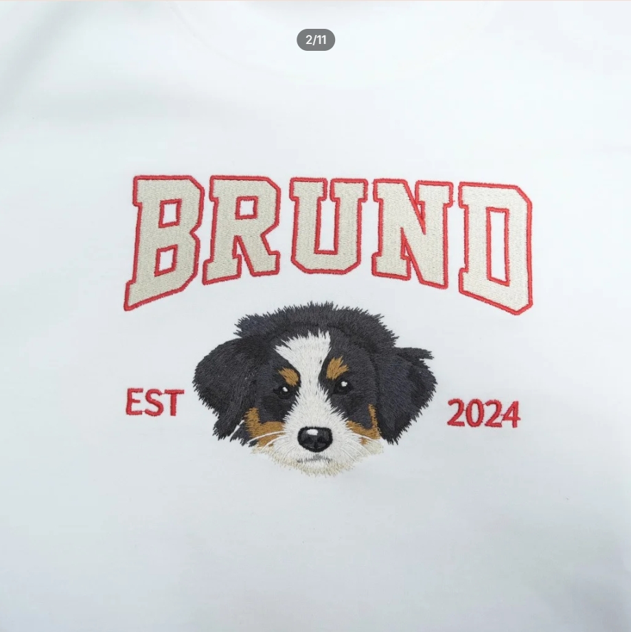 Custom Embroidered Christmas Hoodie with Glitter Bow for Family and Pets - Festive Style