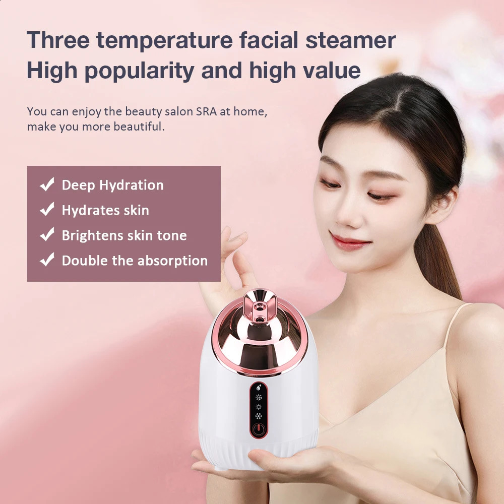 Steam Engine Nano Ion Thermal Mist Steam Engine Home SPA Humidifier Nebulizer Skin and Beauty Equipment 241118