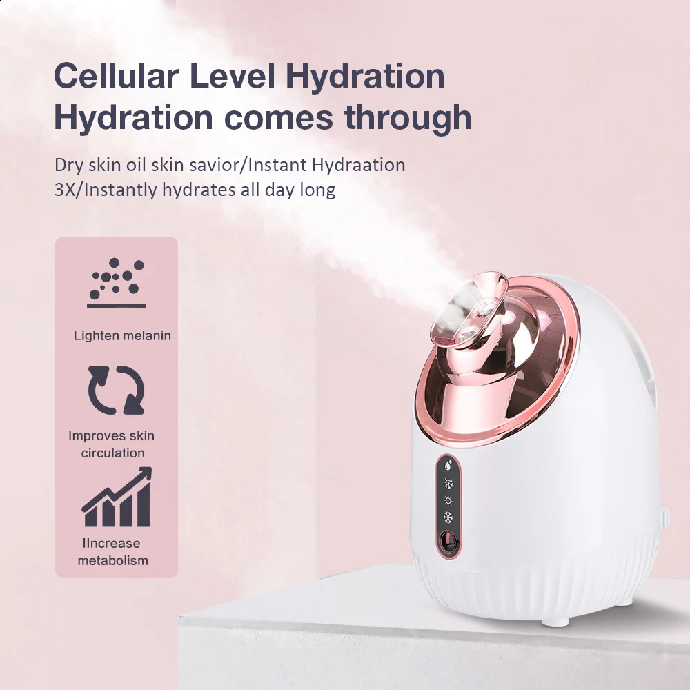 Steam Engine Nano Ion Thermal Mist Steam Engine Home SPA Humidifier Nebulizer Skin and Beauty Equipment 241118
