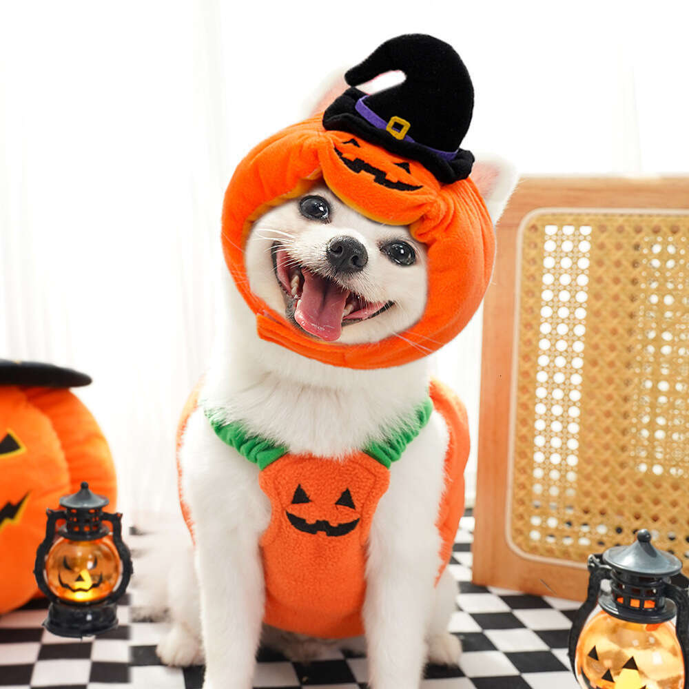 Adorable Teddy Dog and Cat Pumpkin Transformation Garment Perfectly Plush Two Legged Pet Dress Up Gear