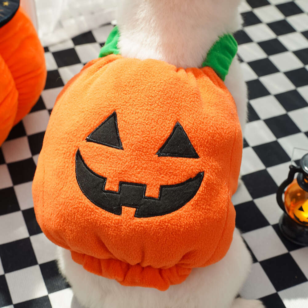 Adorable Teddy Dog and Cat Pumpkin Transformation Garment Perfectly Plush Two Legged Pet Dress Up Gear