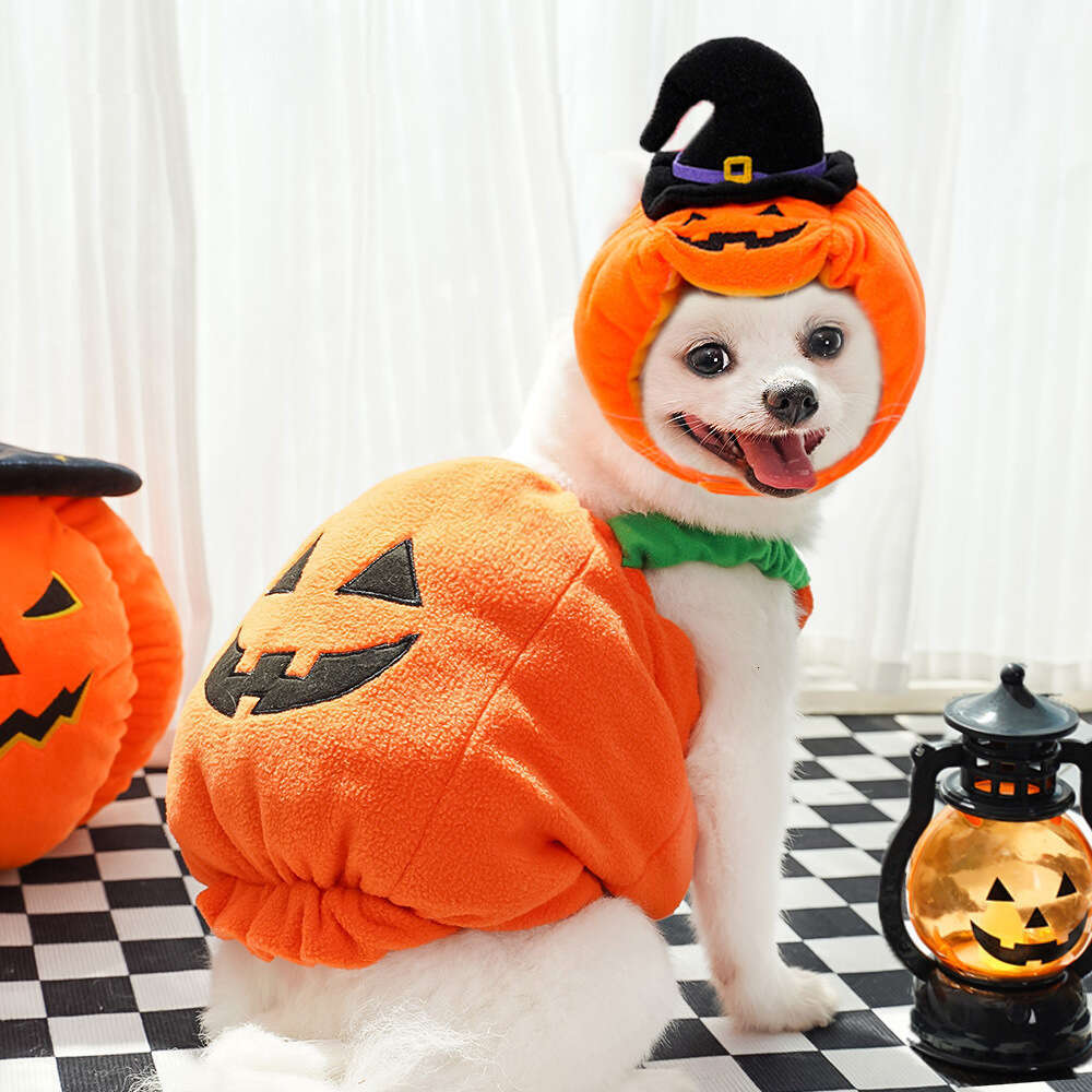 Adorable Teddy Dog and Cat Pumpkin Transformation Garment Perfectly Plush Two Legged Pet Dress Up Gear