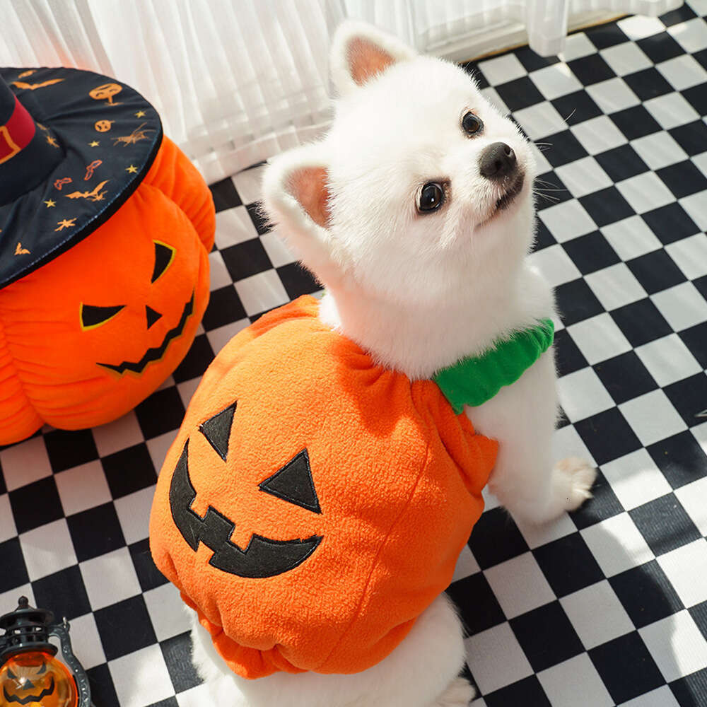 Adorable Teddy Dog and Cat Pumpkin Transformation Garment Perfectly Plush Two Legged Pet Dress Up Gear