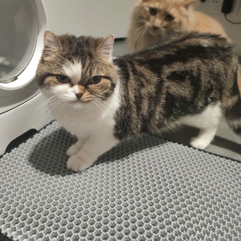 Pet Litter Mat Waterproof Double Layer Pet Non Slip Mat Washable Cat Mat Pet Supplies