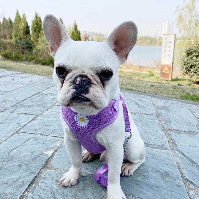 Dog Collars Puppy Harness Collar Cute Kitten Vest Set Daisy Embroidery Cat And Leash Small Medium Dogs Chihuahua Yorkie
