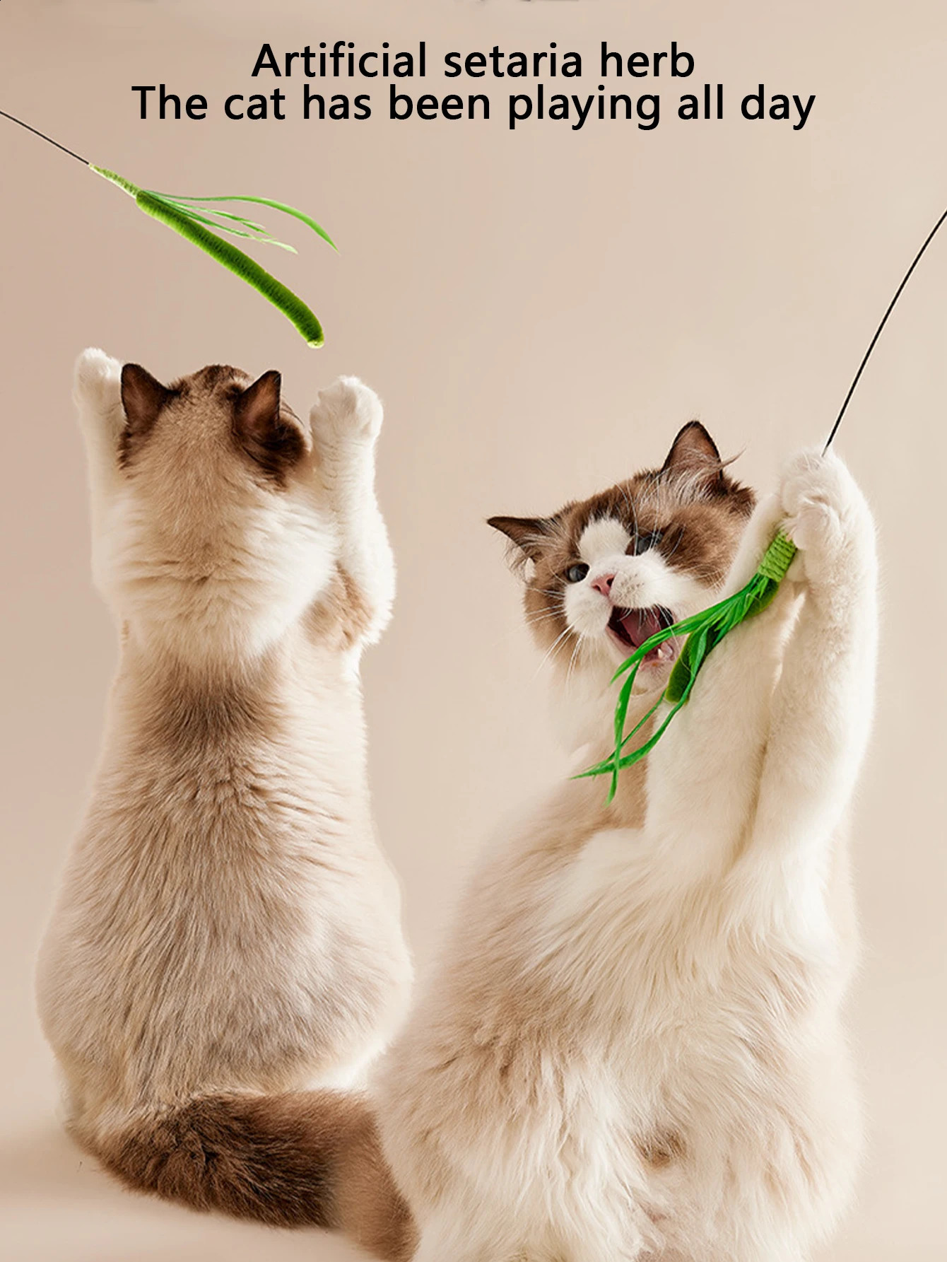 Kimpets Cat Dog Tail Grass Sage Feather Long Pole Teasing Stick Bite Resistant Self Soothing Tool Toy Pet Supplies 241119