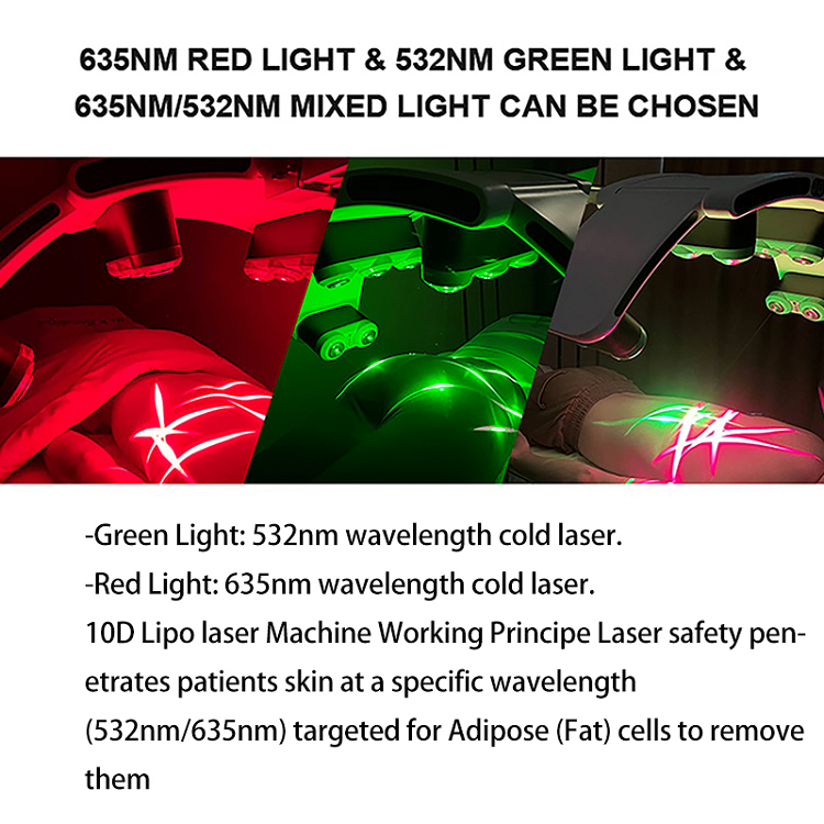 10D Maxlipo 532nm Green Light Lipo Laser Slimming Lipolaser Non-invasive 532nm Laser Green Light Fat Removal Cellulite Removal Body Shape Slimming 10d
