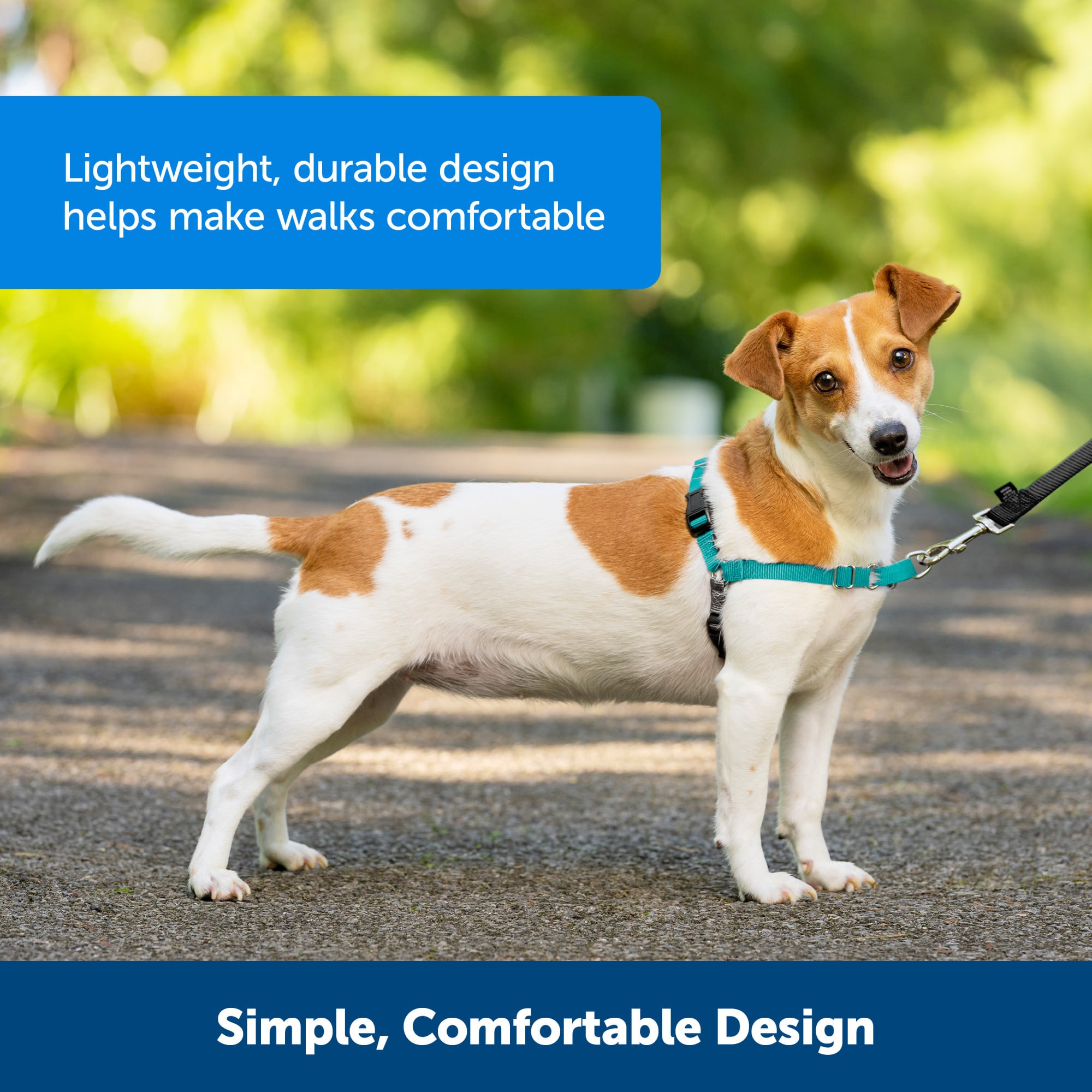 PetSafe Easy Walk Dog Harness, Medium, Teal