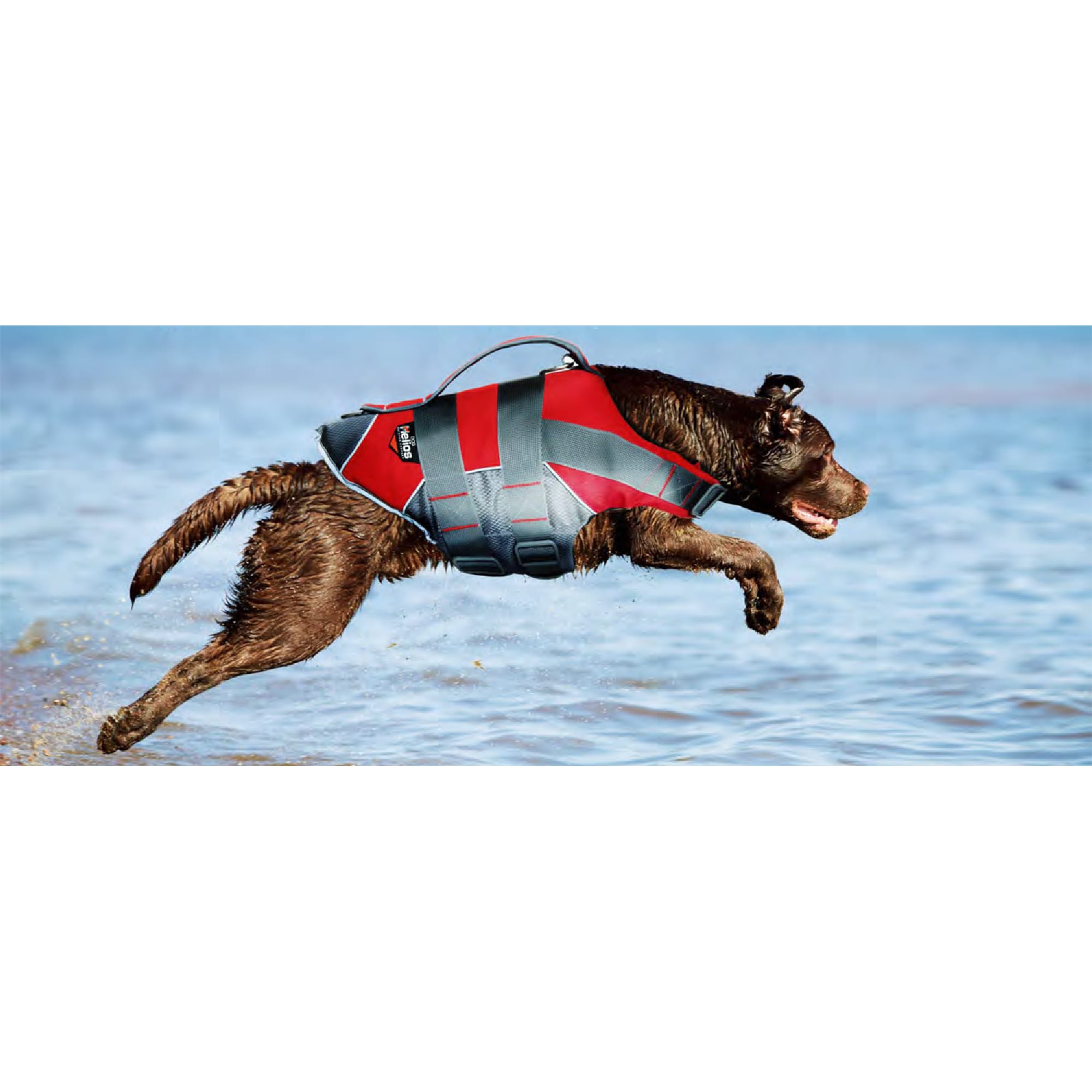 Dog Helios Red Splash-Explore Outer Performance 3M Reflective and Adjustable Buoyant Dog Harness and Life Jacket, Large