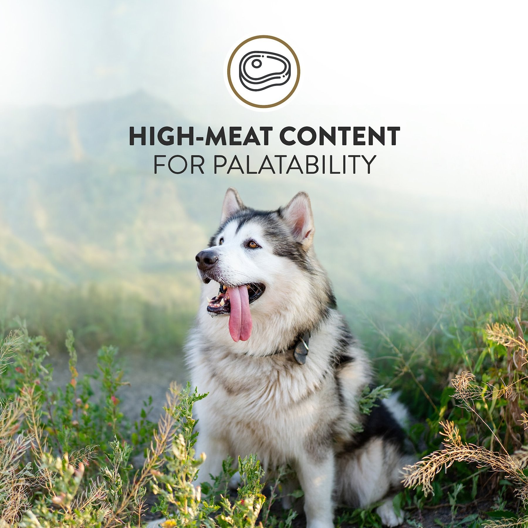 Addiction Meaty Bites Beef Grain-Free Dog Treats