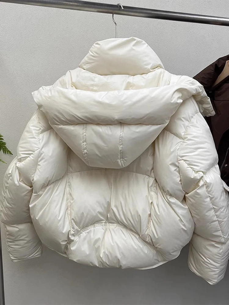 Autumn Winter Women Korean Fluffy Vintage Padded Jacket Old Money Parka Coat Fashion Hoodies Outwear 2000s Aesthetic 241119
