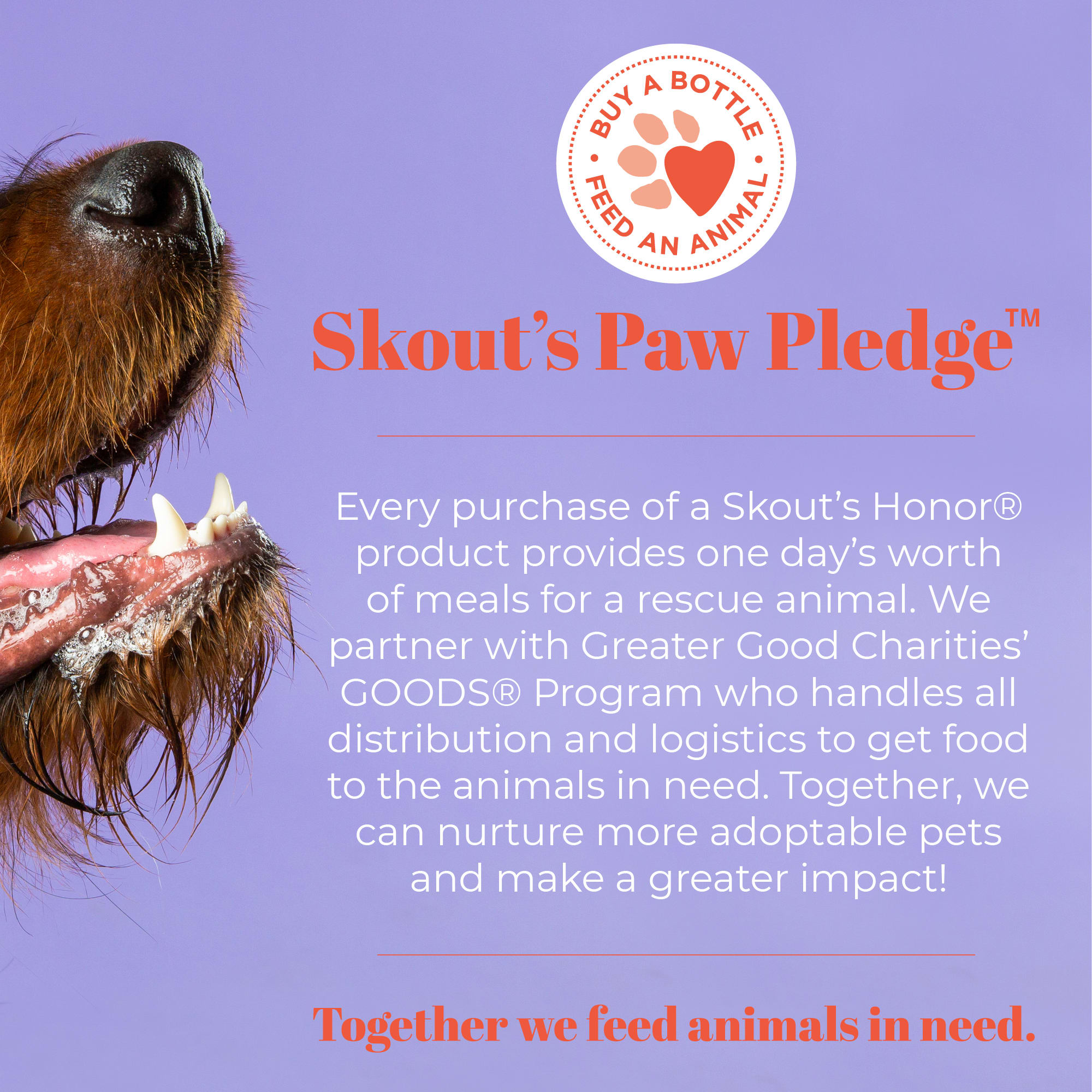 Skout's Honor Urine Destroyer for Dogs, 128 fl. oz.