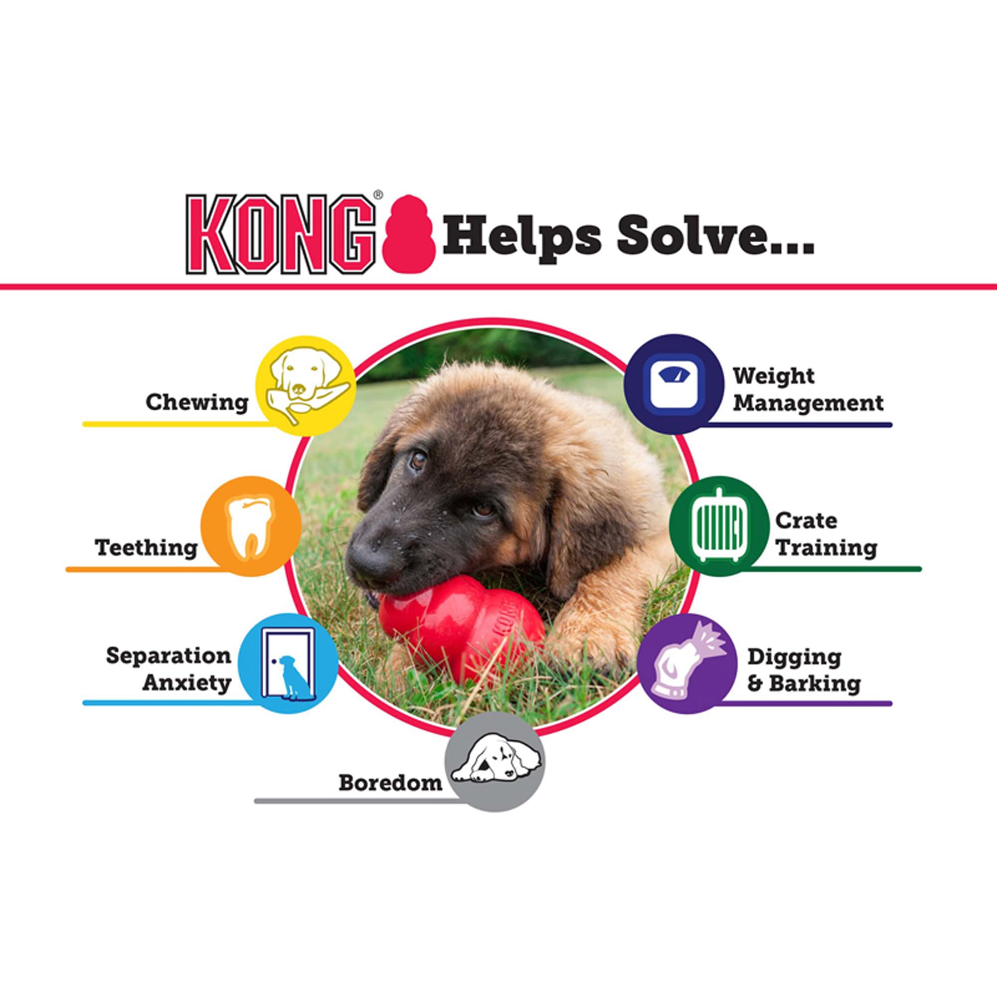 KONG Senior Dog Toy, Medium