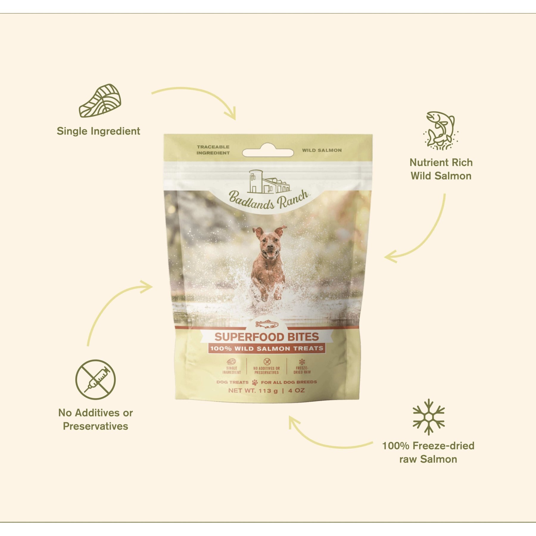 Badlands Ranch Salmon Grain-Free Freeze-Dried Raw Dog Treats