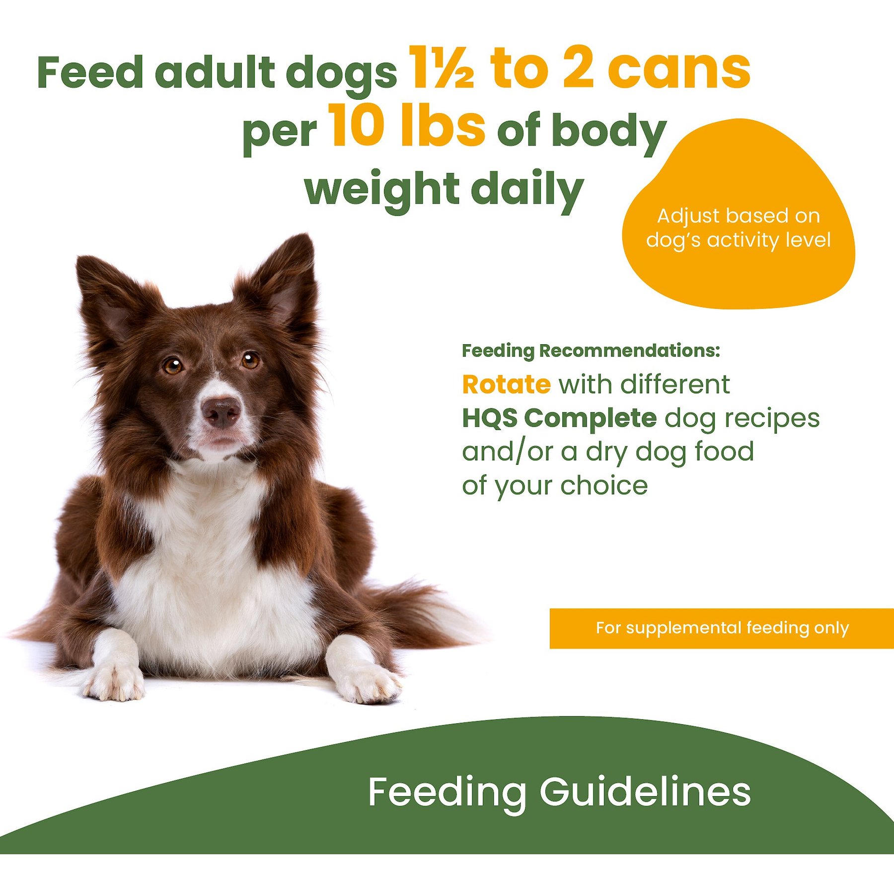 Almo Nature HQS Natural Chicken Drumstick Adult Canned Dog Food