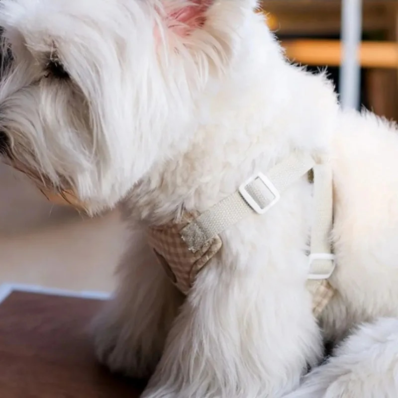 Ins Cute Bear Series Dog Breast Collar Suit Teddy Bichon Outing Cat Chest Strap Hand Holding Rope Pet Small Dog Accessories 241119