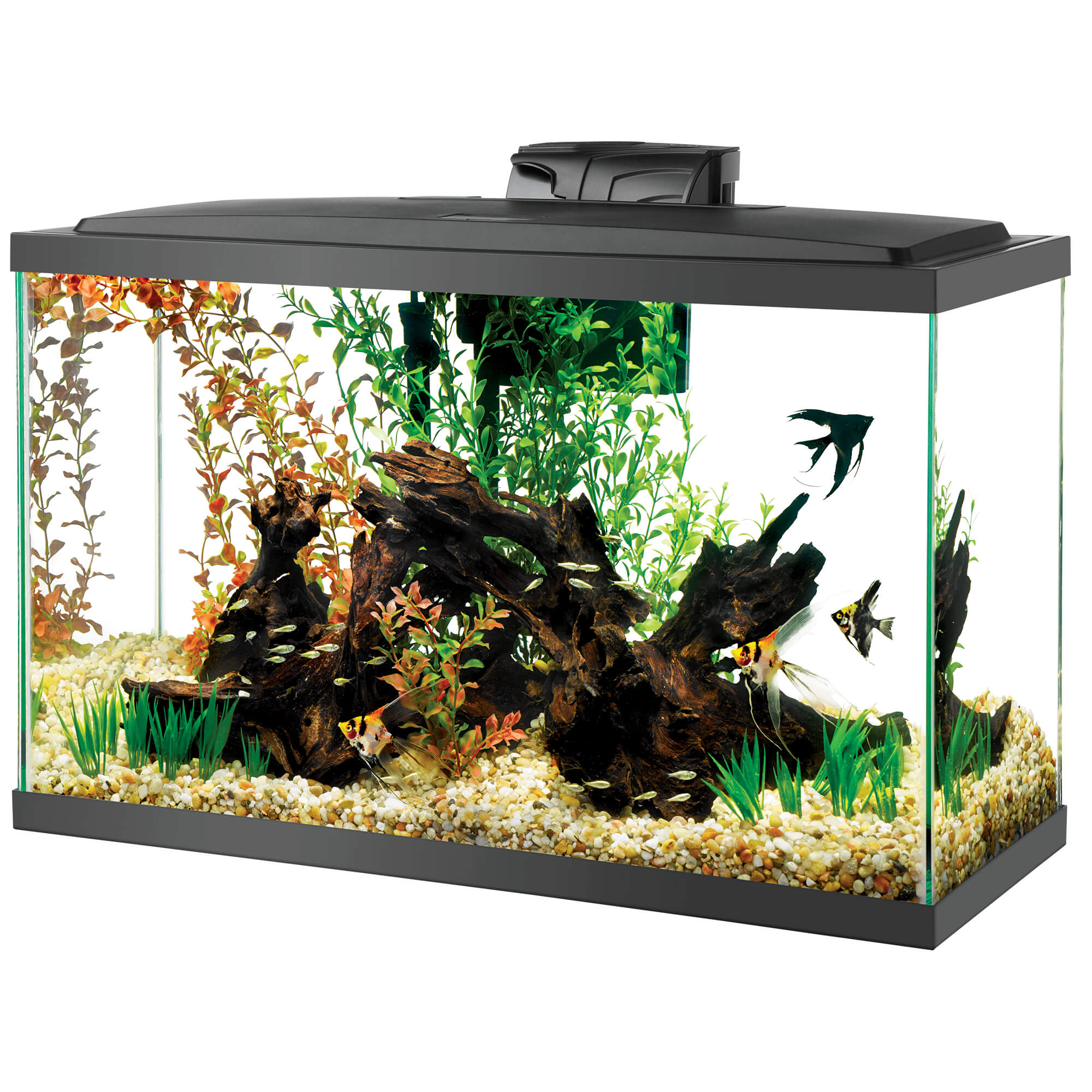 Aqueon Standard Open-Glass Glass Aquarium Tank, 29 Gallon