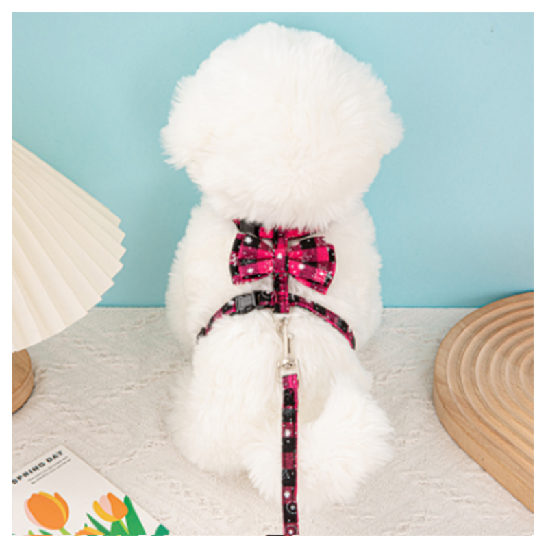 PET2024 New Christmas Element pet leash I-beam dog leash chest and back pet cat chain factory sale