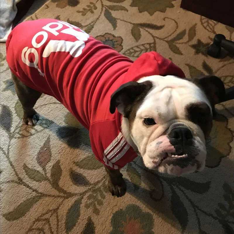 Winter dog clothing sports hoodies sweatshirts warm jackets suitable for small medium and large dogs cats pets and puppies X241119