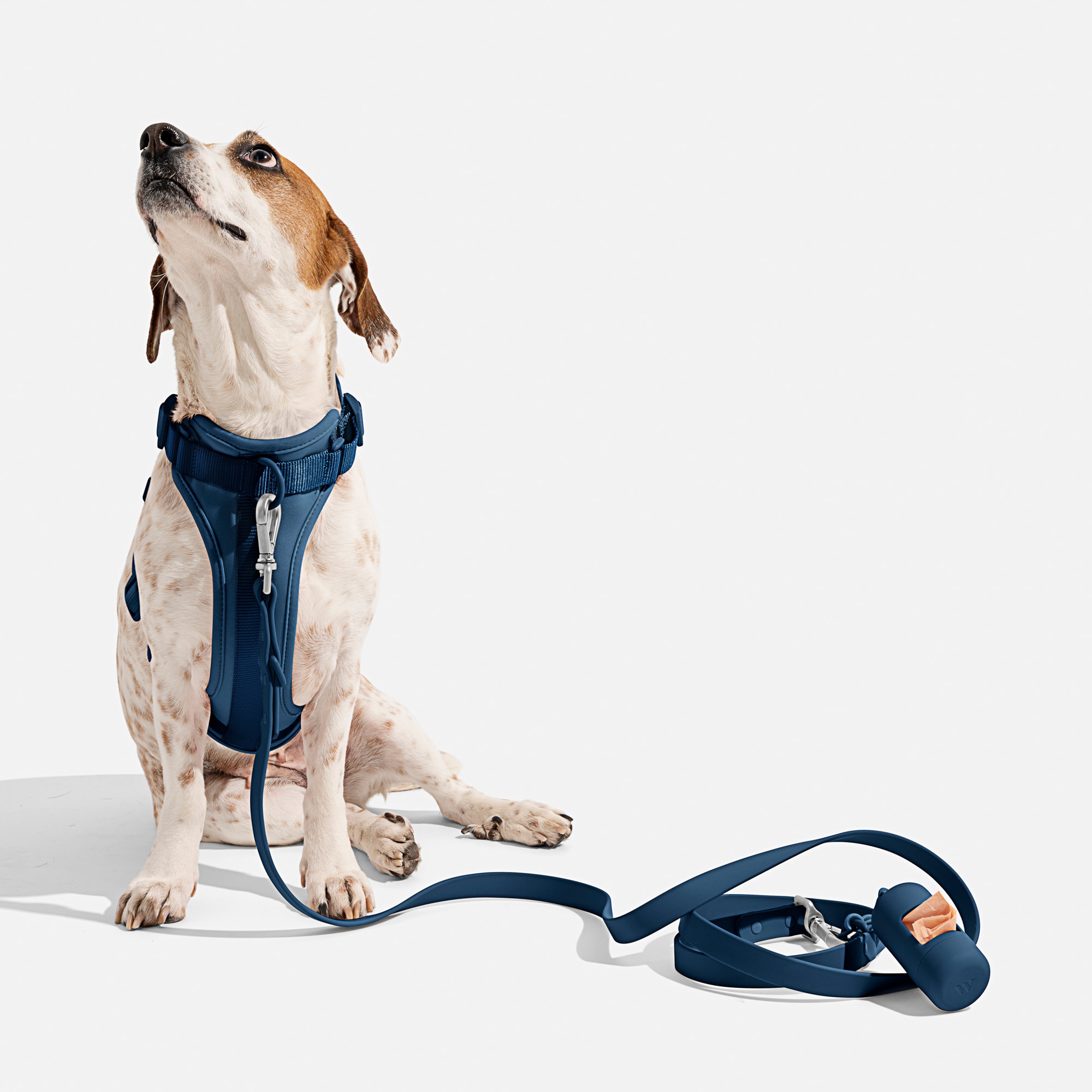 Wild One Cushioned Harness, Navy, Medium
