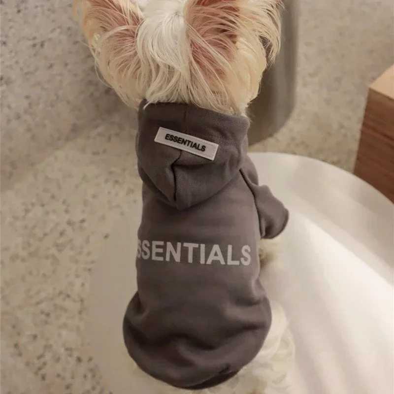 Dog hooded letter wool lining designer dog clothing puppy sports shirt soft and warm sports shirt suitable for puppies X241119
