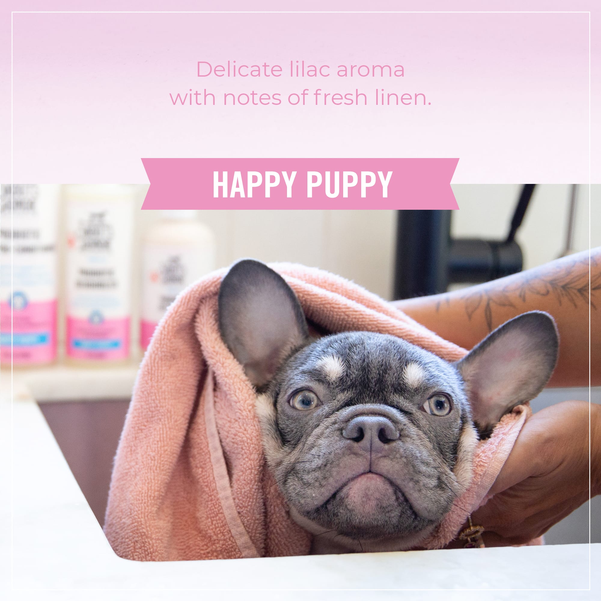 Skout's Honor Probiotic Daily Use Happy Puppy Deodorizer, 8 fl. oz.
