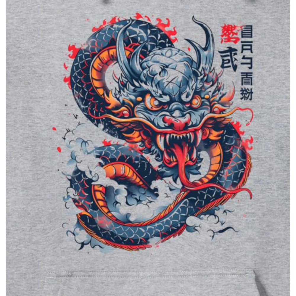 Hoodie for Mens Womens Dragon Fire Fantasy Mythology Asian Art Drawing Pullover Hoodie Graphic Hoodies sweatshirt cool