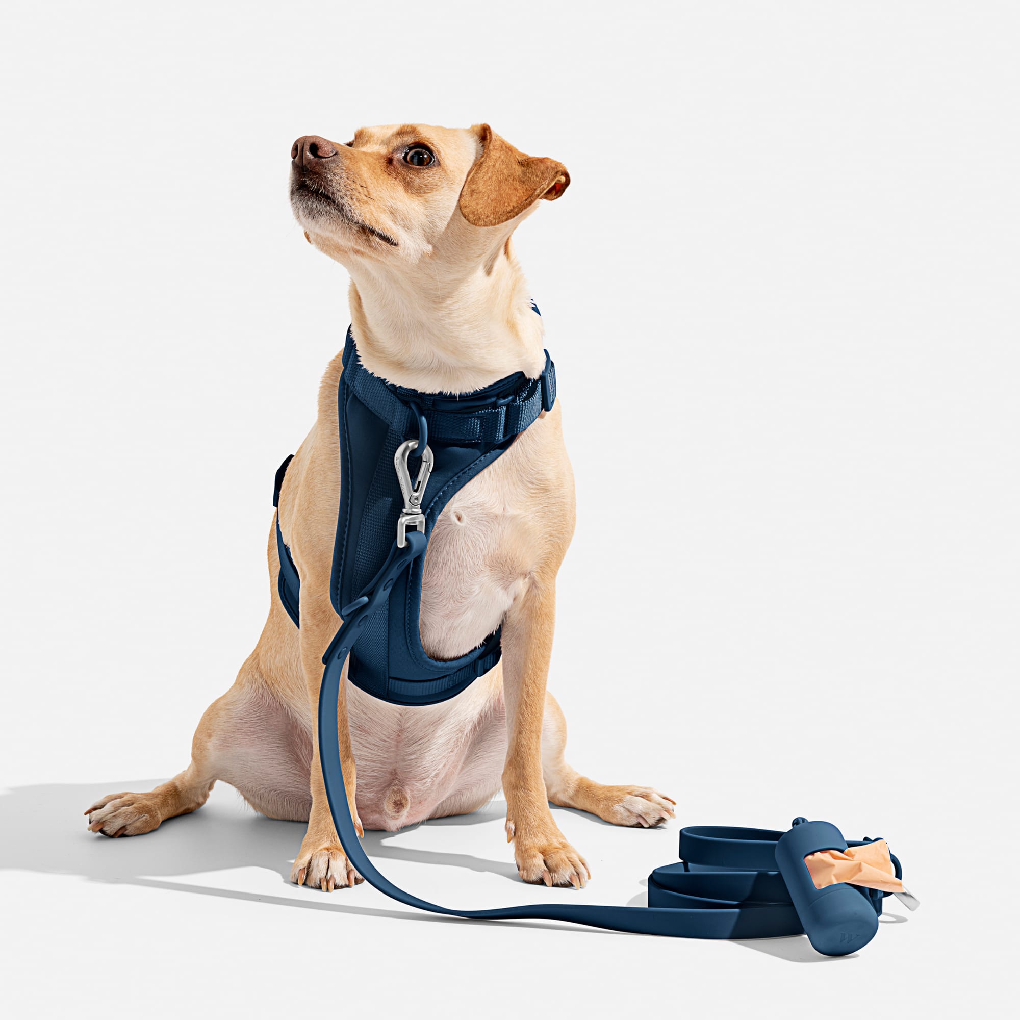 Wild One Cushioned Harness, Navy, Medium