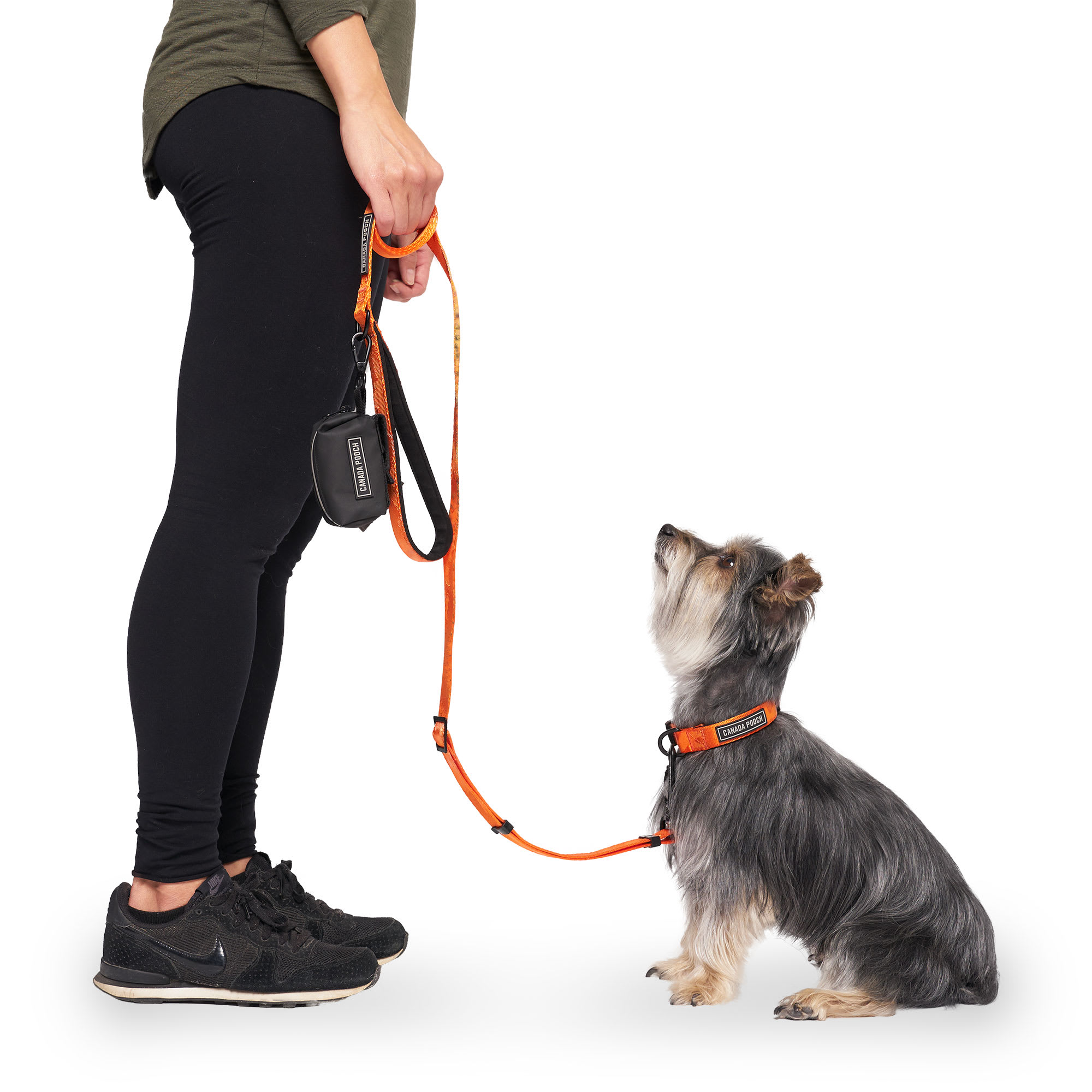 Canada Pooch Orange Utility Dog Leash, Small/Medium