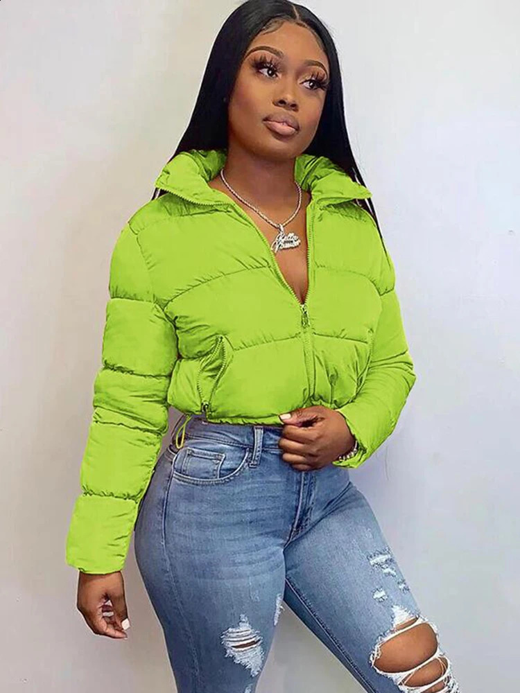 Weird Puss Winter Down Jacket Women Casual Thick Bubble Coat Warmth Zip Pocket Cropped Puffer Parka Streetwear Trend 241119