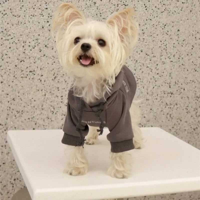 Dog hooded letter wool lining designer dog clothing puppy sports shirt soft and warm sports shirt suitable for puppies X241119
