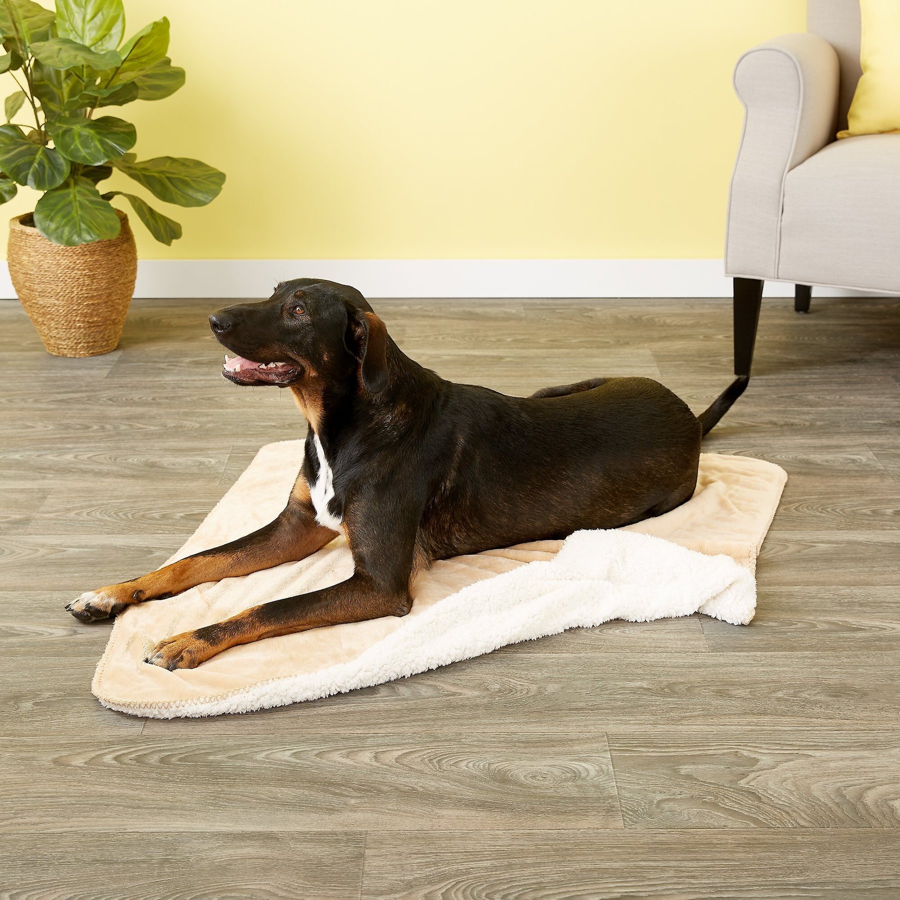 American Kennel Club AKC Micro Sherpa Dog & Cat Blanket