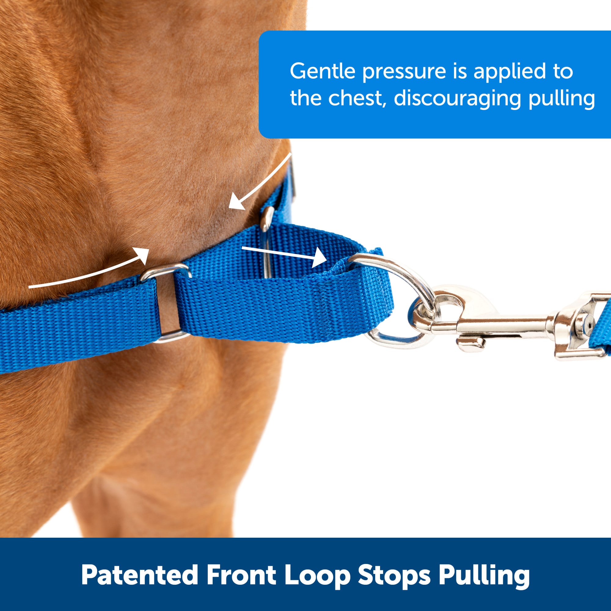 PetSafe Easy Walk Dog Harness, Medium, Teal