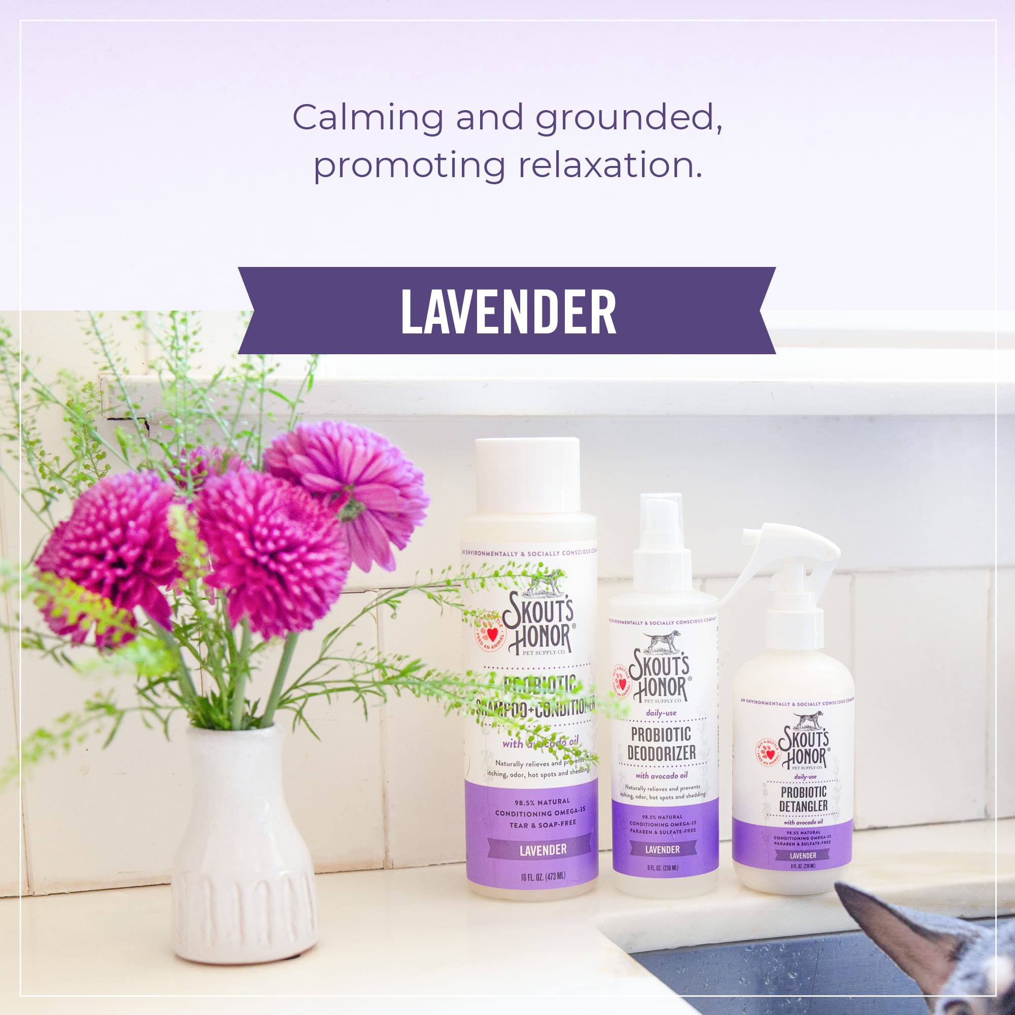 Skout's Honor Probiotic Daily Use Deodorizer Lavender for Dogs, 8 fl. oz.
