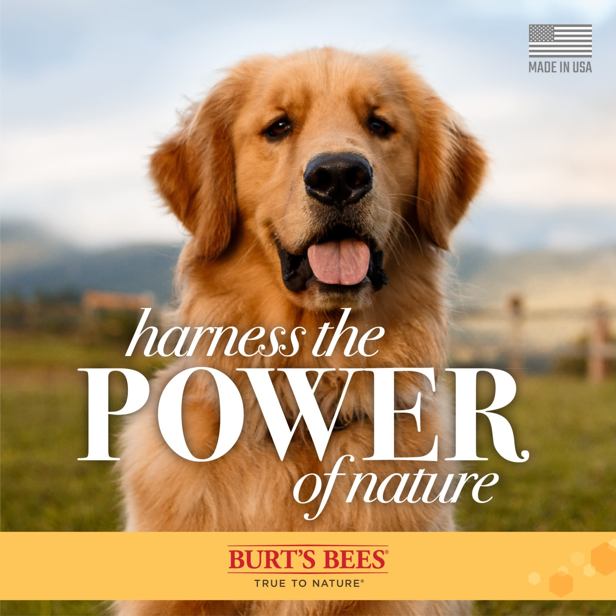 Burt's Bees Natural Pet Care Shampoo & Conditioner Sage & Lemongrass Scent, 12 fl. oz.